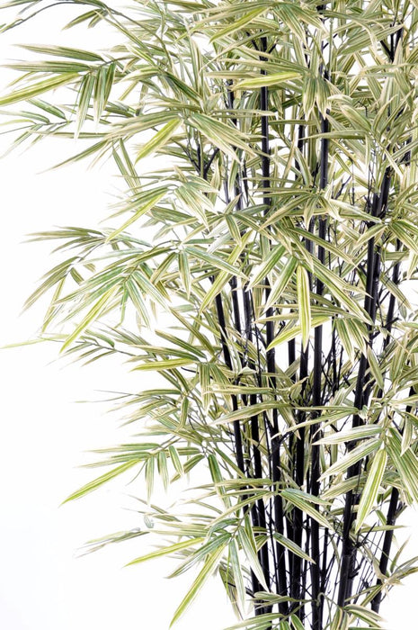 Bambù Artificiale Shiroshima 160 Cm Verde Bianco