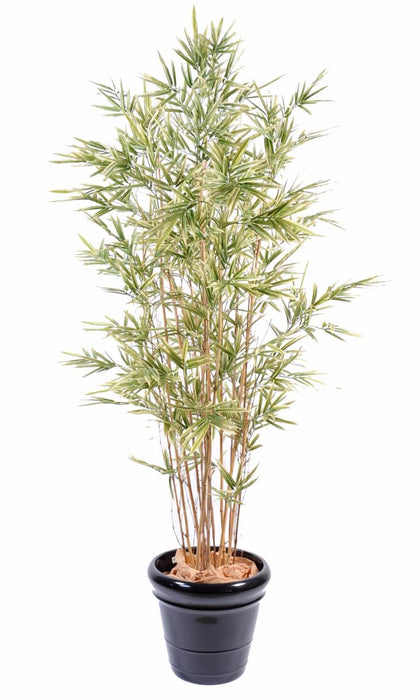 Bambù Artificiale Shiroshima 165 Cm Con Fogliame Variegato