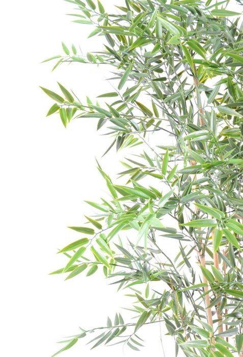 Bambù Artificiale Resistente Ai Raggi UV 210 Cm Per Interni Ed Esterni