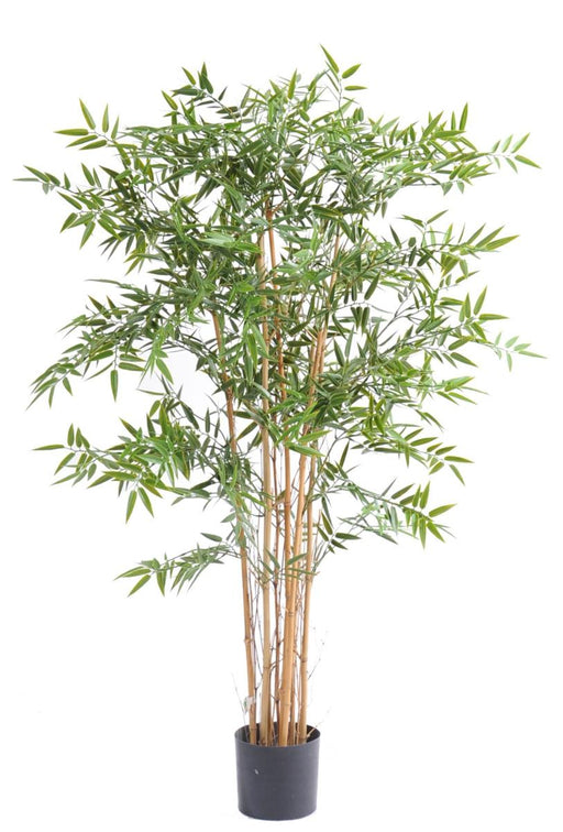Bambù Artificiale Resistente Ai Raggi UV Per La Decorazione Esterna