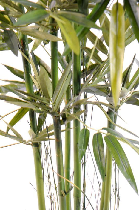 Bambù Artificiale Verde 120 Cm Per Interni