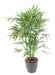 Bambù Artificiale Verde 120 Cm Per Interni