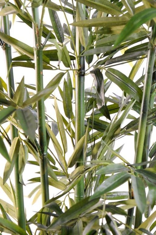 Bambù Artificiale Verde 150Cm Per Interni