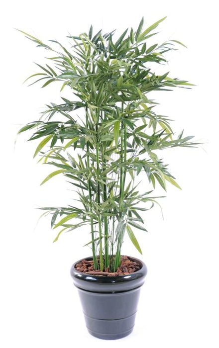 Bambù Artificiale Verde 150Cm Per Interni