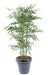 Bambù Artificiale Verde 150Cm Per Interni