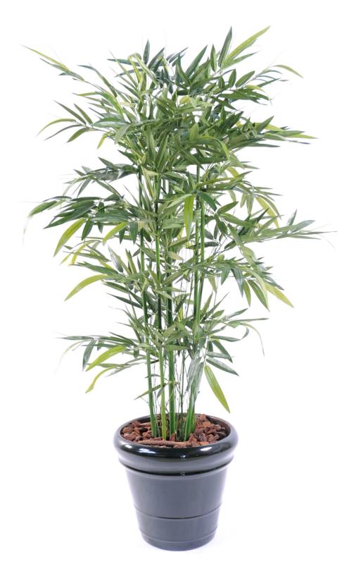 Bambù Artificiale Verde 150Cm Per Interni