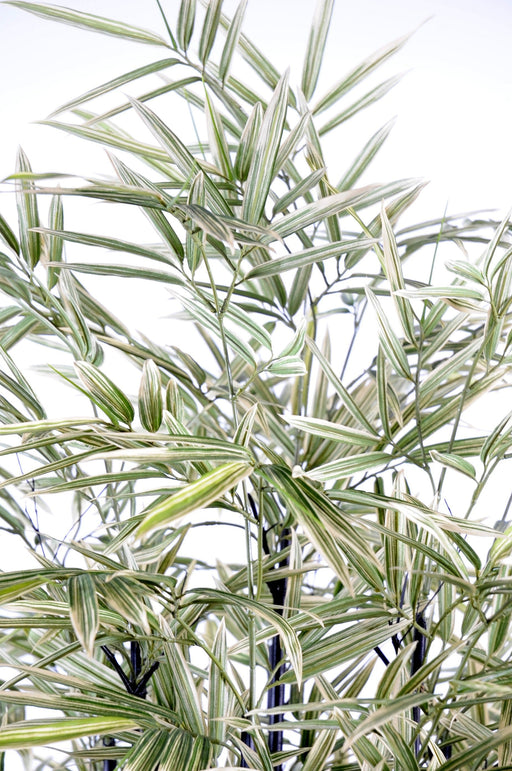Bambù Artificiale Verde Bianco Per Interni 125Cm