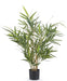 Royal Bamboo - Pianta Verde Artificiale