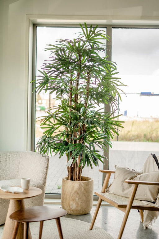 Bambusa - Bambù Artificiale