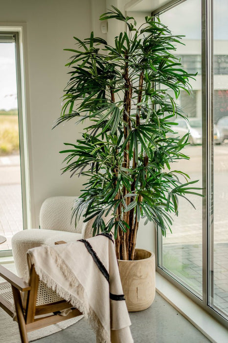 Bambusa - Bambù Artificiale