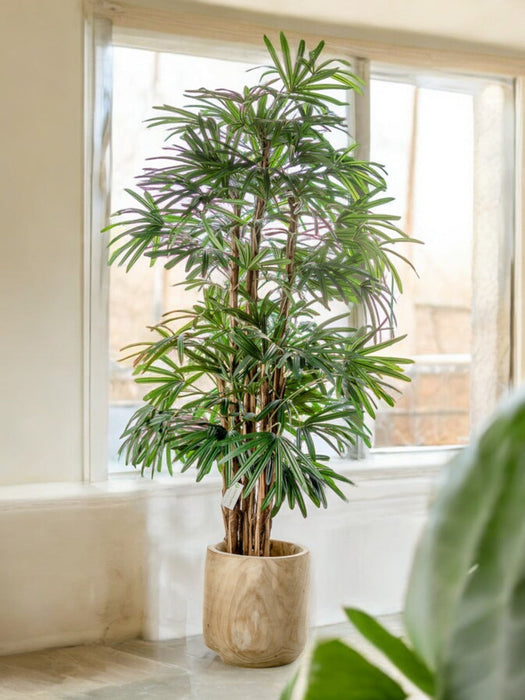 Bambusa - Bambù Artificiale