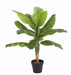 Banano Artificiale 100 Cm Con 12 Foglie Verdi