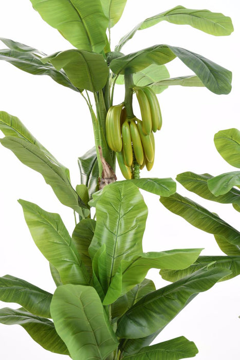 Banano Artificiale 180 Cm Con Casco Di Banane