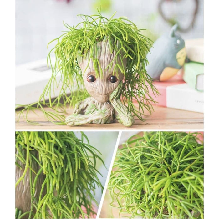 Baby Groot Sognante E Amorevole (X2)