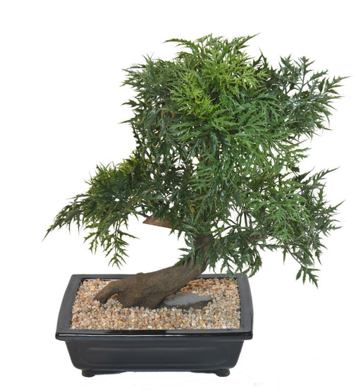 Bonsai Aralia Artificiale 50Cm In Coppa Decorativa