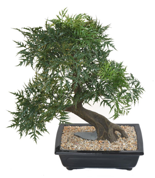 Bonsai Aralia Artificiale 50Cm In Coppa Decorativa