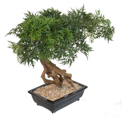 Aralia Bonsai Artificiale In Sezione Per Interni 60Cm