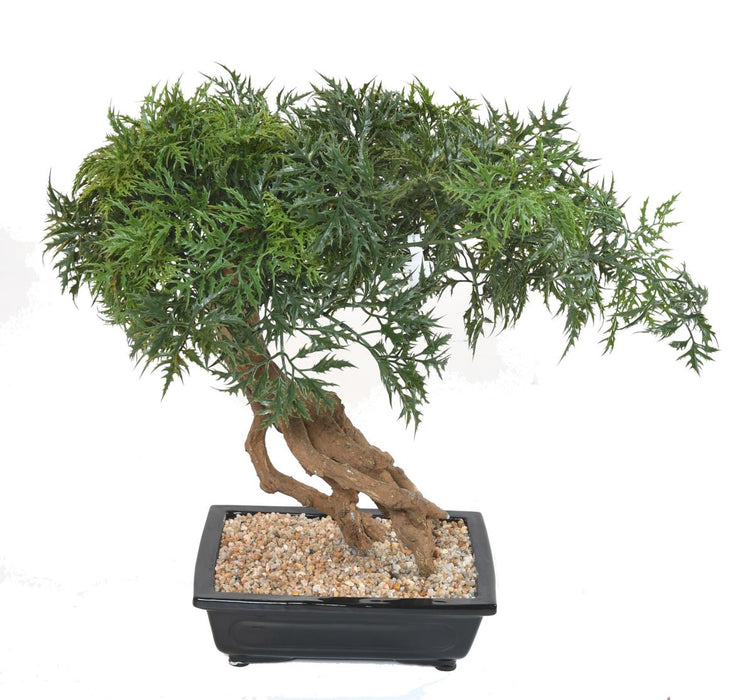 Aralia Bonsai Artificiale In Sezione Per Interni 60Cm