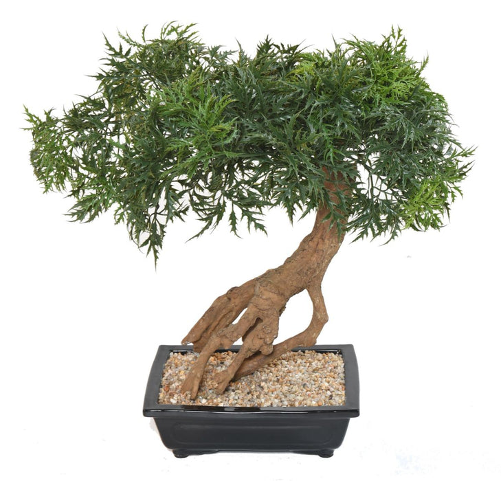 Aralia Bonsai Artificiale In Sezione Per Interni 60Cm