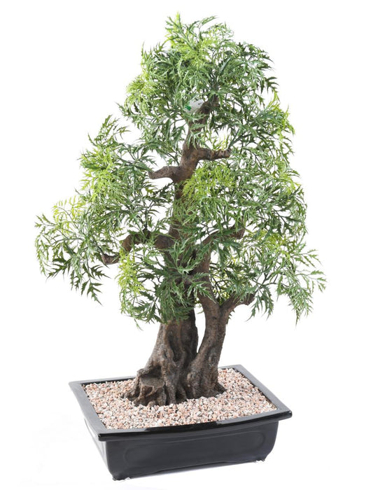 Bonsai Aralia Artificiale Per La Decorazione D'interni