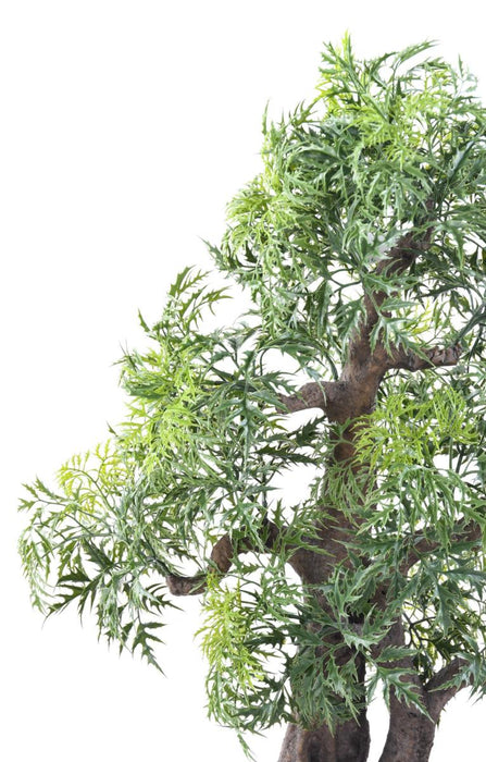 Bonsai Aralia Artificiale Per La Decorazione D'interni