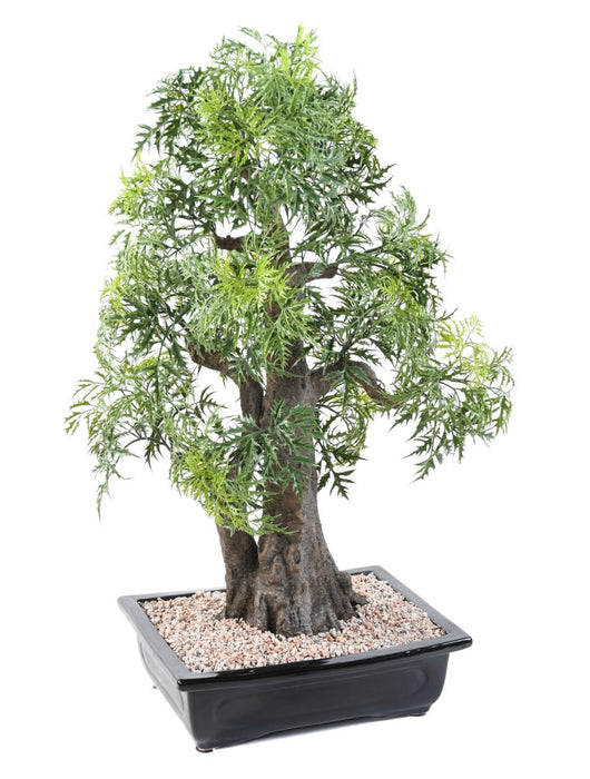 Bonsai Aralia Artificiale Per La Decorazione D'interni