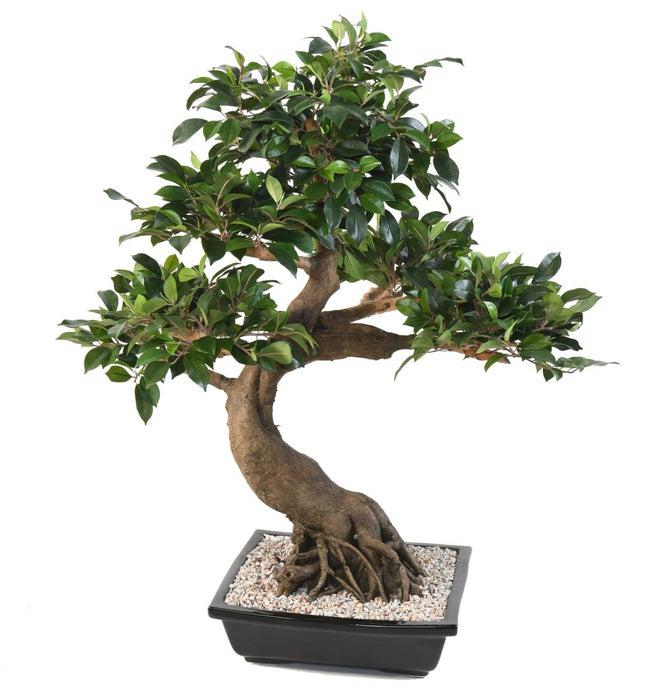 Bonsai Ficus Artificiale 78 Cm Per Interni