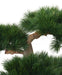 Pino Bonsai Artificiale Su Decorazione Platino H.92Cm