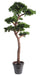 Bonsai Artificiale Resistente Ai Raggi UV 220 Cm Pianta Sintetica