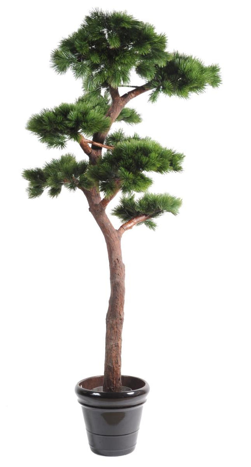 Bonsai Artificiale Resistente Ai Raggi UV 220 Cm Pianta Sintetica