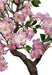 Bonsai Ciliegio Artificiale 50Cm Decorazione Rosa Crema