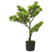 Bonsai Pino Artificiale Con Vaso 60 Cm Verde
