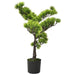 Bonsai Pino Artificiale Con Vaso 60 Cm Verde