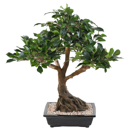 Bonsai Ficus Artificiale In Coppa 58 Cm Pianta Da Interno