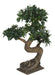 Bonsai Di Carbone Giapponese Artificiale Per Interni