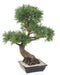 Bonsai Artificiale Juniperus 100 Cm Pianta Da Interno