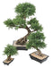 Bonsai Artificiale Juniperus 100 Cm Pianta Da Interno