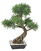 Bonsai Artificiale Juniperus 100 Cm Pianta Da Interno