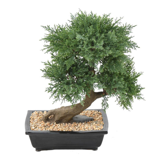 Bonsai Di Ginepro Artificiale 55 Cm Decorazione D'interni