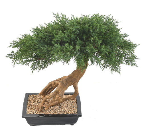 Bonsai Artificiale Juniperus 60 Cm Pianta Da Interno