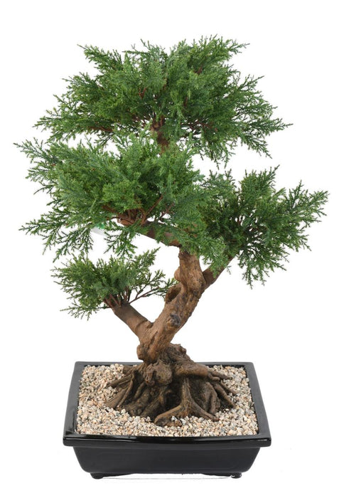Bonsai Di Ginepro Artificiale 75 Cm In Ceramica
