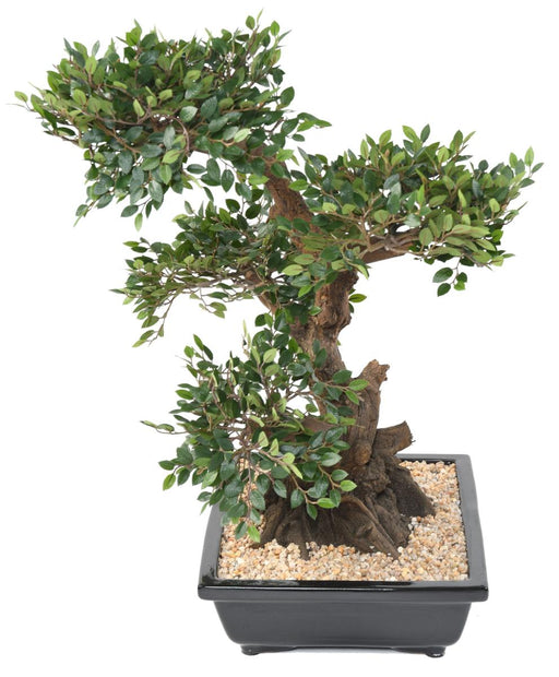 Bonsai Olmo Artificiale 70Cm Con Vaso In Ceramica