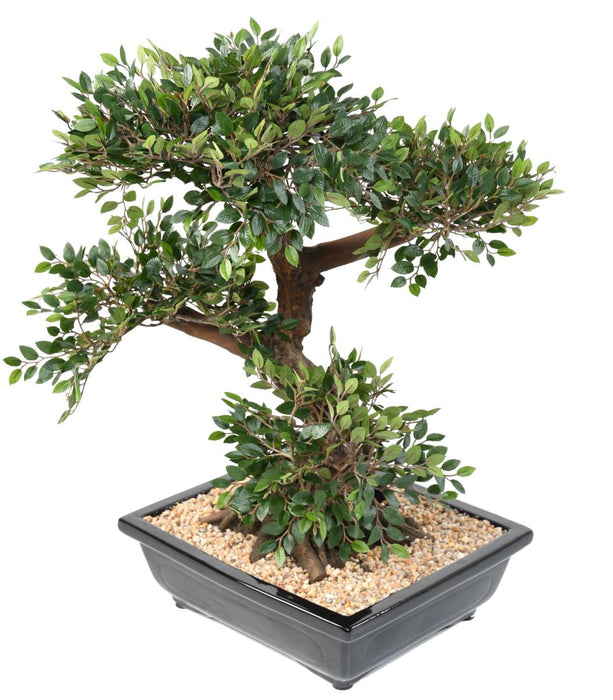 Bonsai Olmo Artificiale 70Cm Con Vaso In Ceramica