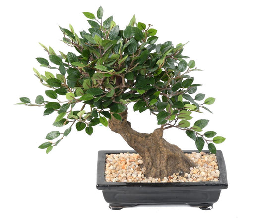 Bonsai Di Olmo Artificiale Con Ghiaia Per Interni
