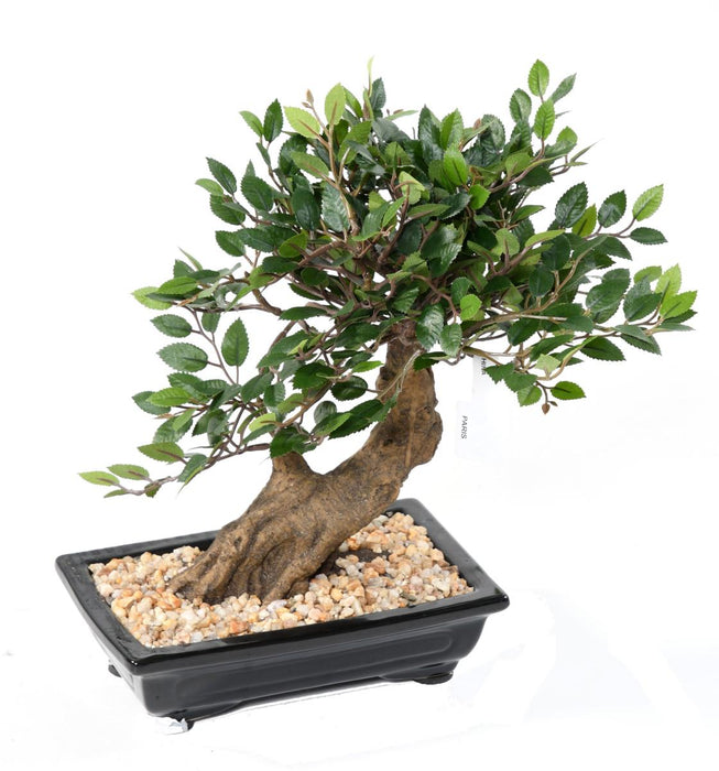 Bonsai Di Olmo Artificiale Con Ghiaia Per Interni
