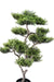 Bonsai Di Pino Artificiale 95 Cm Pianta Sintetica