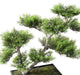Bonsai Di Pino Artificiale Per Interni Ed Esterni 42 Cm