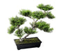 Bonsai Di Pino Artificiale Per Interni Ed Esterni 42 Cm