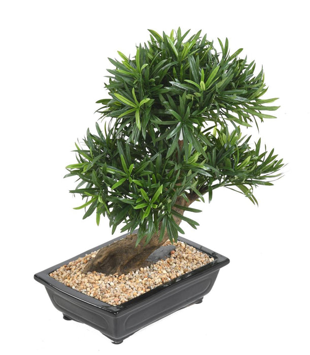 Bonsai Podocarpus Artificiale Taglio 50Cm