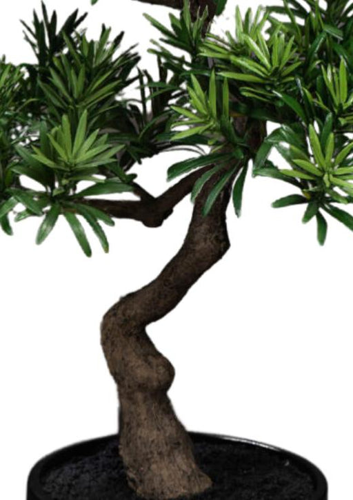 Bonsai Podocarpus Artificiale 50Cm Per Interni